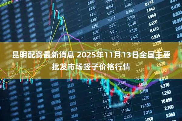 昆明配资最新消息 2025年11月13日全国主要批发市场蛏子价格行情