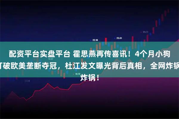 配资平台实盘平台 霍思燕再传喜讯！4个月小狗打破欧美垄断夺冠，杜江发文曝光背后真相，全网炸锅！
